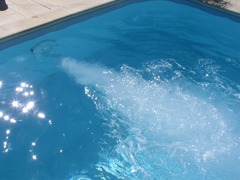 Système ncc nage courant piscine